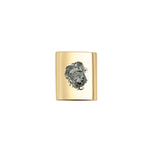 Load image into Gallery viewer, Charms - Sterling Silver Set with 1ct. Uncut Diamond